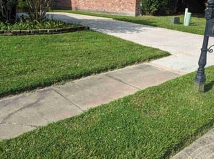 Victor V.'s turf care service result