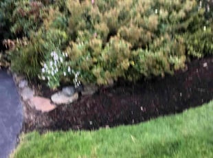 Bryan K.'s Flower Bed Weeding service result