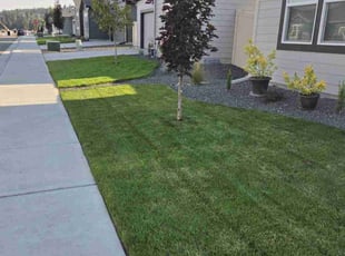 Rochelle H.'s landscape maintenance service result