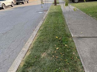 Manish W.'s lawn maintenance service result