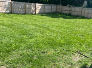 Scott W.'s grass maintenance service result