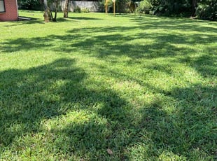 Mary V.'s lawn care service result