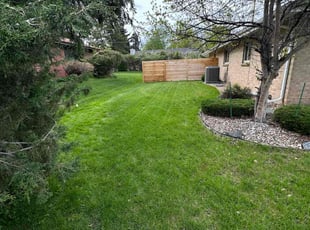 Davana N.'s lawn care services service result