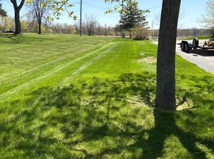 Anthony M.'s lawn maintenance service result