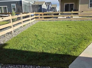 Kelsey P.'s lawn care service result