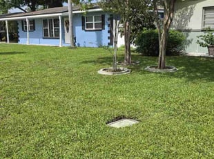 Diamond J.'s turf care service result
