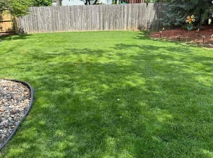 Marcia F.'s lawn service service result