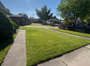 Jesse P.'s grass maintenance service result
