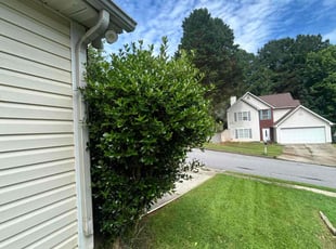 Michael R.'s lawn service service result
