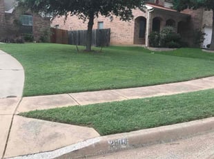 Bob D.'s grass cutting service result