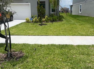 Malissa B.'s lawn care service result