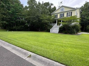 Rachel G.'s lawn maintenance service result