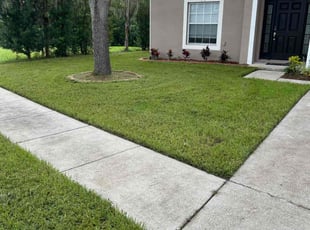 Alejandro L.'s lawn care service result