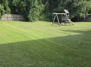 Jenny D.'s lawn maintenance service result