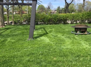 John M.'s turf care service result