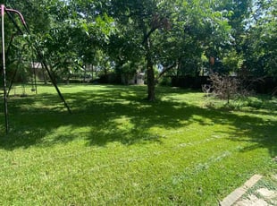 Shana L.'s turf care service result