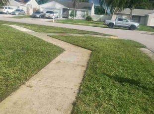Shanna A.'s lawn care service result
