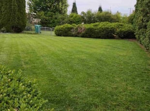 David R.'s lawn maintenance service result