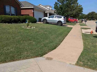 Anna W.'s lawn service service result