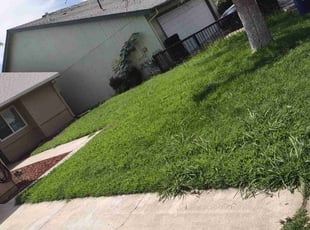 Jack C.'s lawn maintenance service result