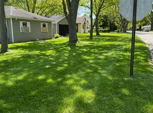 Douglas D.'s grass maintenance service result