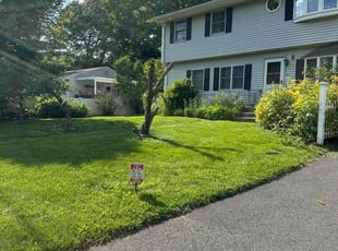 Mrs. W.'s grass cutting service result