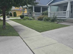 Sharon B.'s turf maintenance service result