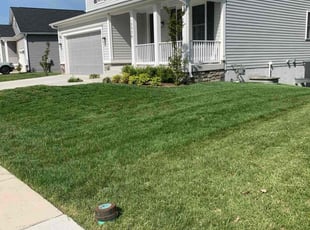 Douglas B.'s lawn maintenance service result