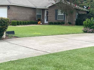 Ann C.'s lawn care services service result