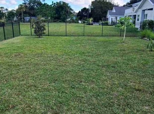 Ramy N.'s turf care service result