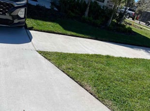 Michael S.'s lawn service service result