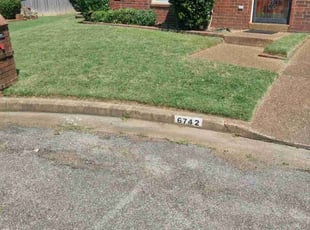Kenya P.'s lawn service service result