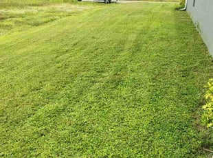 Kristi B.'s lawn service service result