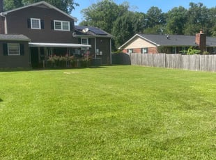 Noni B.'s grass maintenance service result
