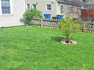 David T.'s lawn care service result