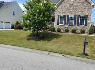 Jamie S.'s lawn maintenance service result