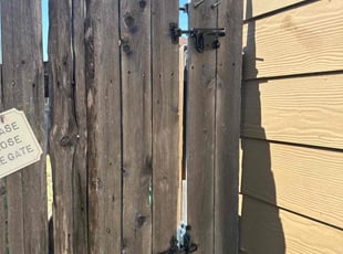 Sean N.'s turf care service result