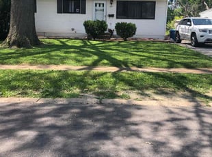 Angela B.'s turf maintenance service result