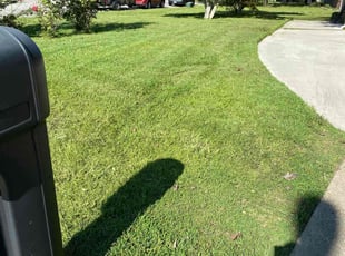 Robson S.'s turf care service result