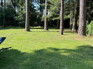 Lori W.'s lawn maintenance service result
