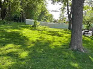 Jan F.'s lawn care service result