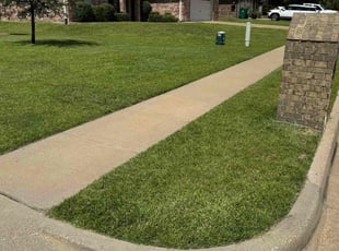 Laura T.'s grass maintenance service result