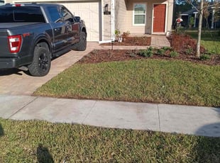 Kaleah S.'s turf maintenance service result