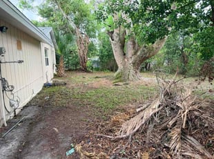 Federico B.'s lawn service service result