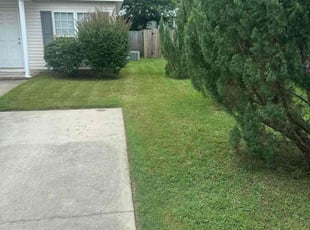 Mitchell S.'s lawn service service result