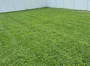 Lenora B.'s lawn care services service result