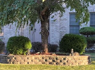 Patricia E.'s lawn care service result