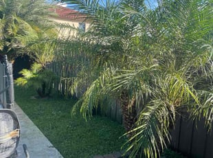 Jim M.'s grass maintenance service result