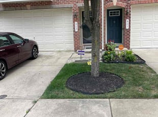Melissa U.'s turf care service result