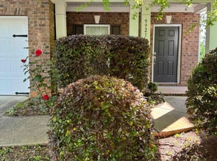 Ghaith K.'s Bush Trimming service result